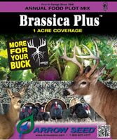 Brassica Plus - 1 Acre